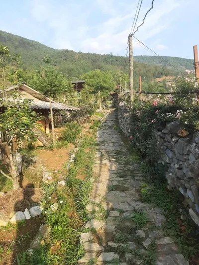 Bungalow familiare — H'mong Cổ Trấn Sapa Homestay & Restaurant