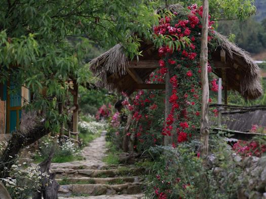 H'mong Cổ Trấn Sapa Homestay & Restaurant – Sa Pa